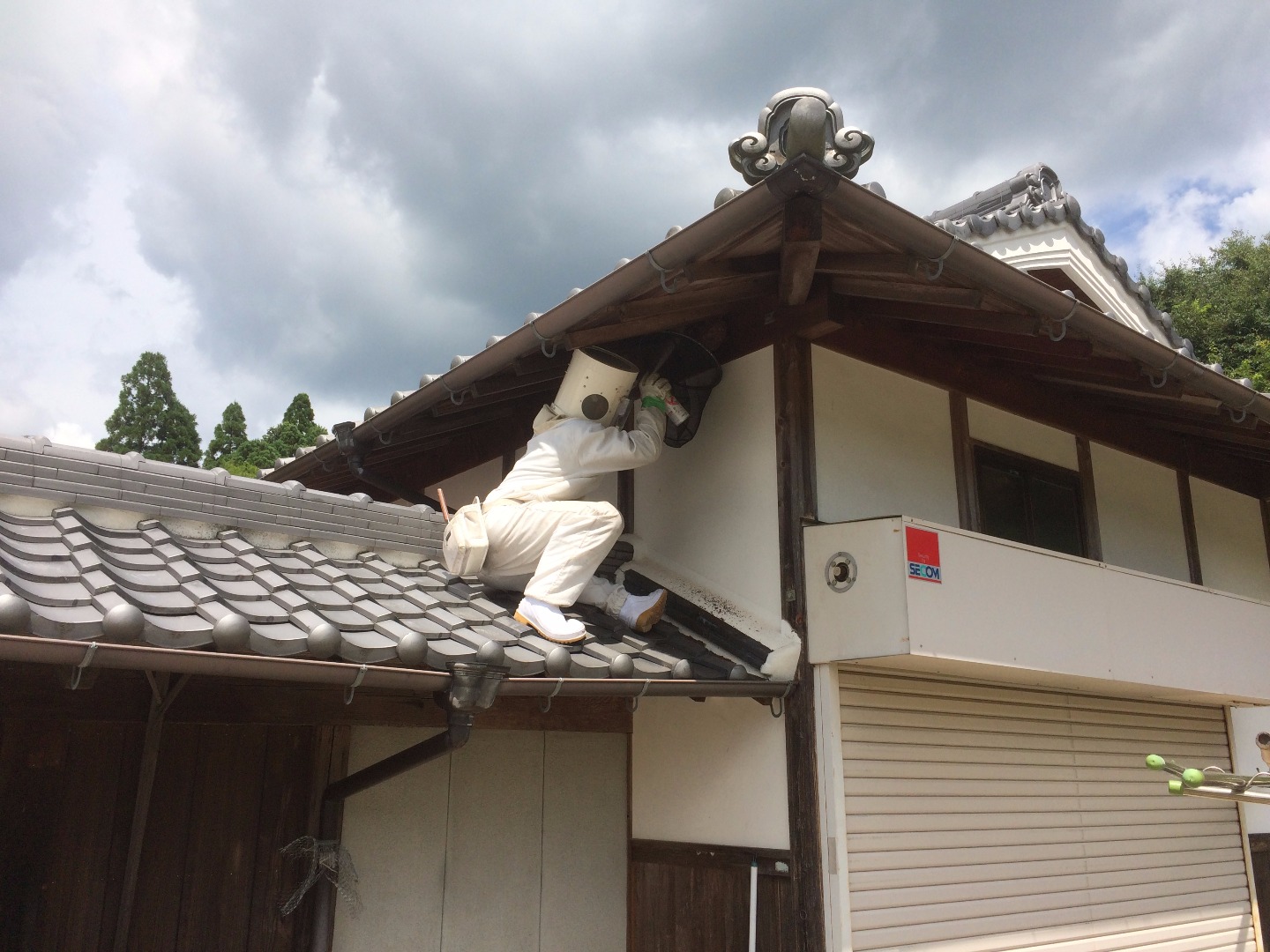 ハチの巣駆除中