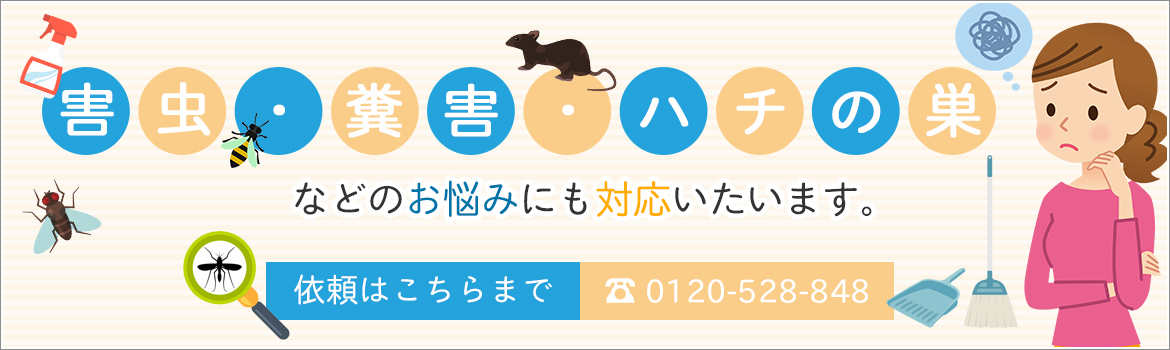 害虫・糞害・ハチの巣 などのお悩みにも対応いたいます。